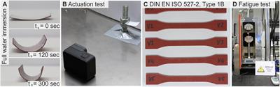 Humidity-Sensing Material Cottonid – Microstructural Tuning for Improved Actuation and Fatigue Performance